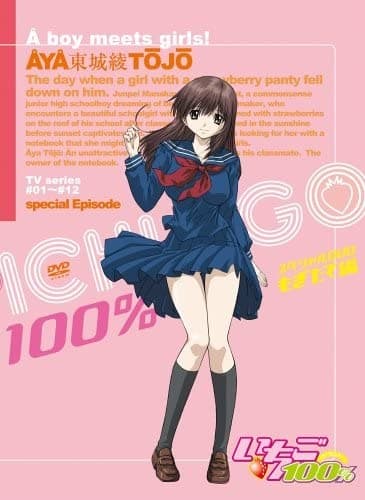 Strawberry 100%